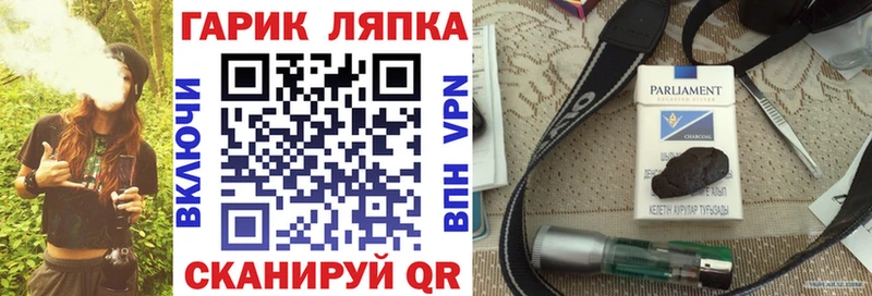 Купить где  Грязовец  Гашиш Premium 