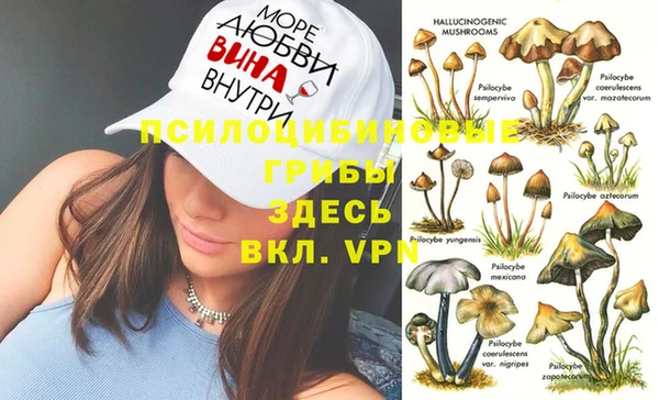 эйфоретик Зеленодольск